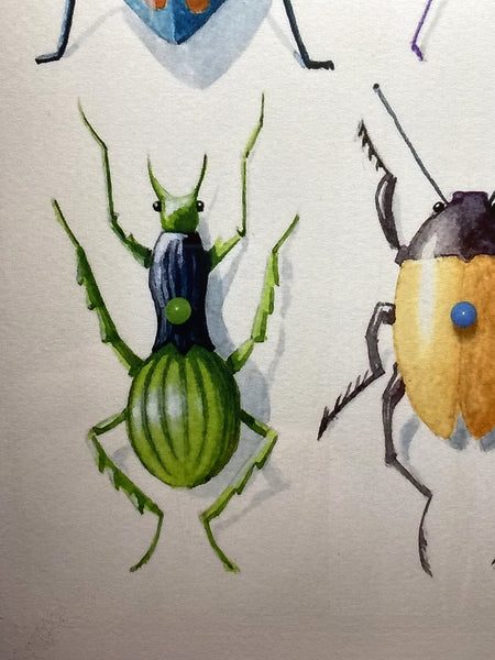 Insects of a New Zealand Imagination - Poster Print